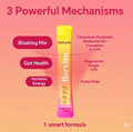 Rervita Daily Metabolism & Gut Support 4